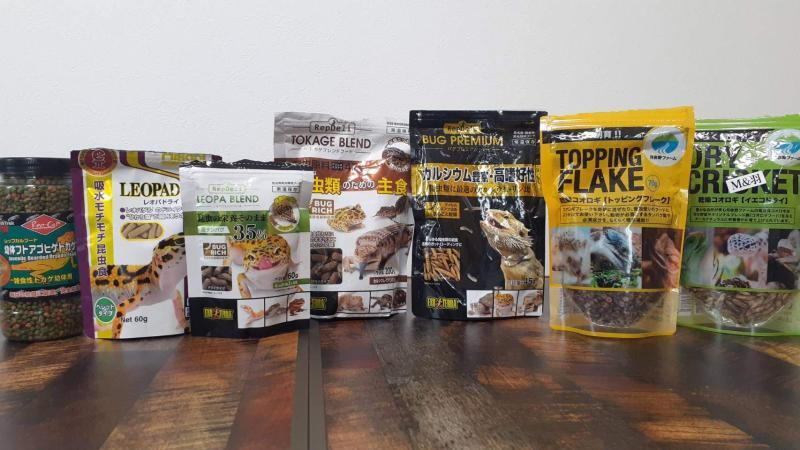 カナヘビの人工餌