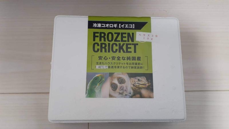冷凍コオロギ