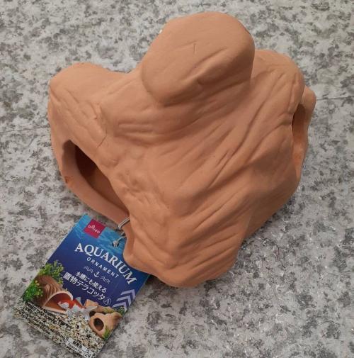 カナヘビ飼育　セット