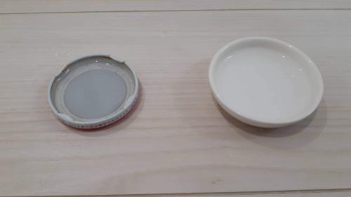 カナヘビの水入れ