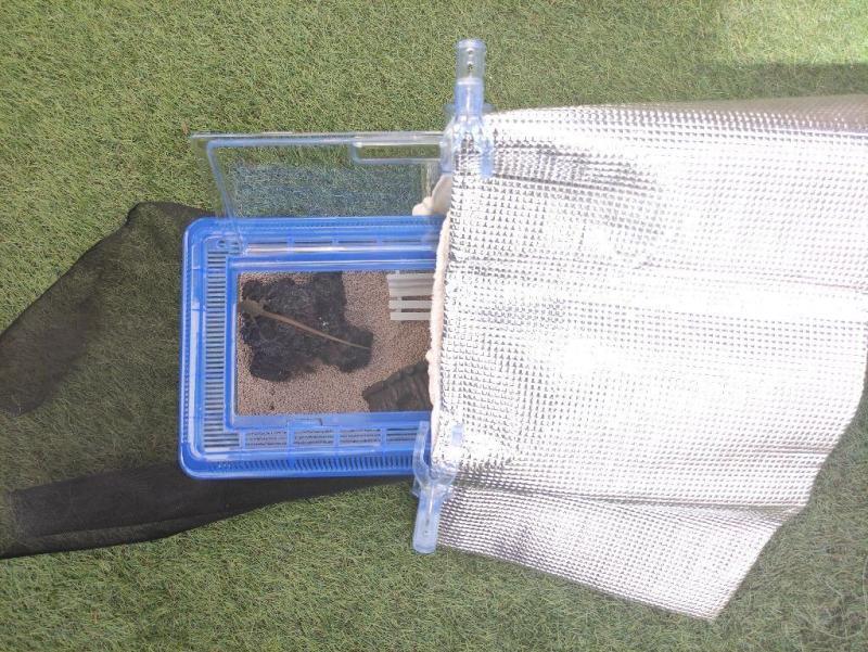 アルミシートをかけ、洗濯バサミで固定する。