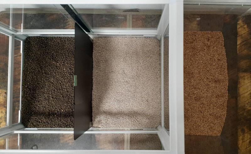 左からデザートソイル、ジクラアギトアラメ、ウォールナッツサンド