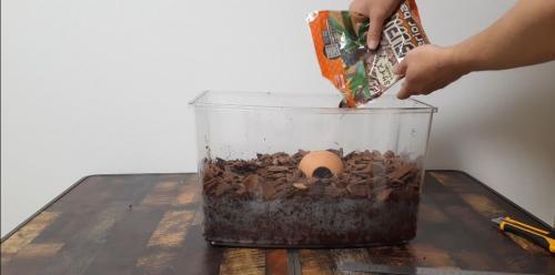 バークチップを敷く