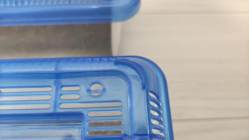 カナヘビの飼育ケースの突起