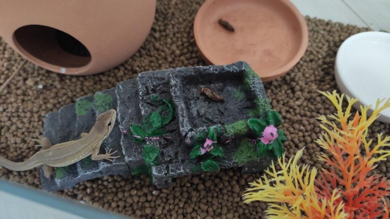 レイアウト用品