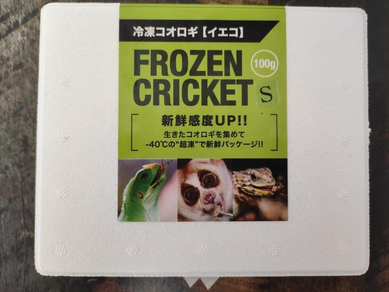 カナヘビ餌