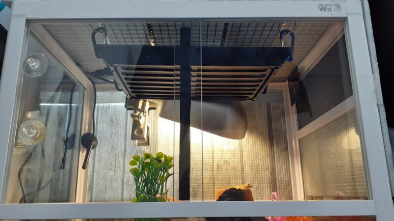 爬虫類飼育道具