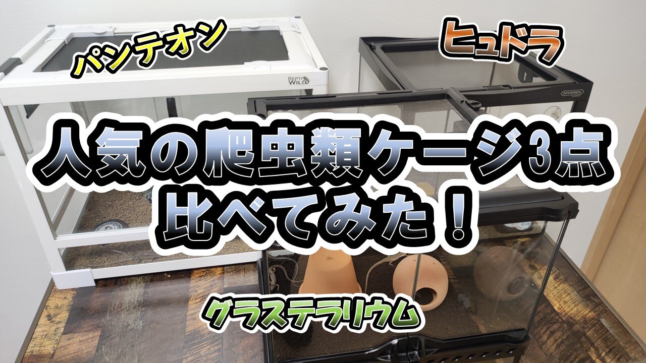 爬虫類ゲージ】グラステラリウム・パンテオン・ヒュドラケースの比較 