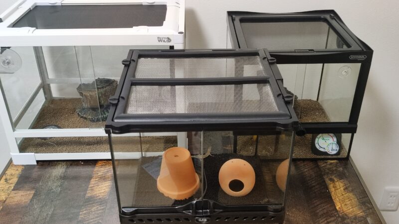 爬虫類ケージ