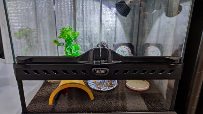 グラステラリウムと紫外線ライト