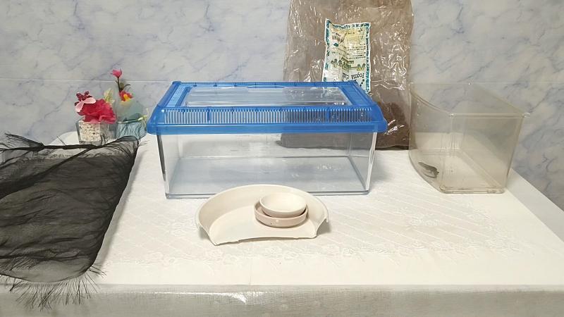ニホントカゲの飼育道具