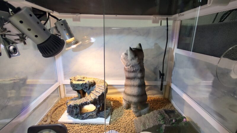 カナヘビ飼育道具